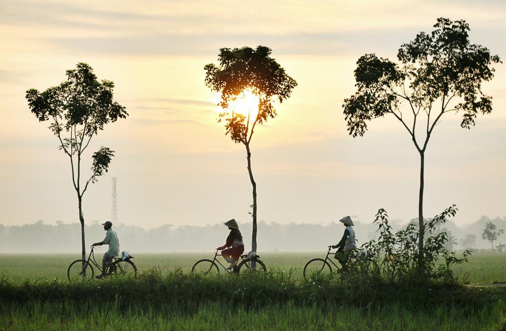 Cycle Through the Backstreets of Hanoi, Vietnam