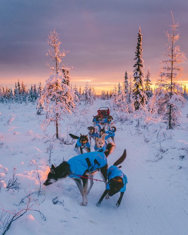 Explore the majestic landscape of Alaska