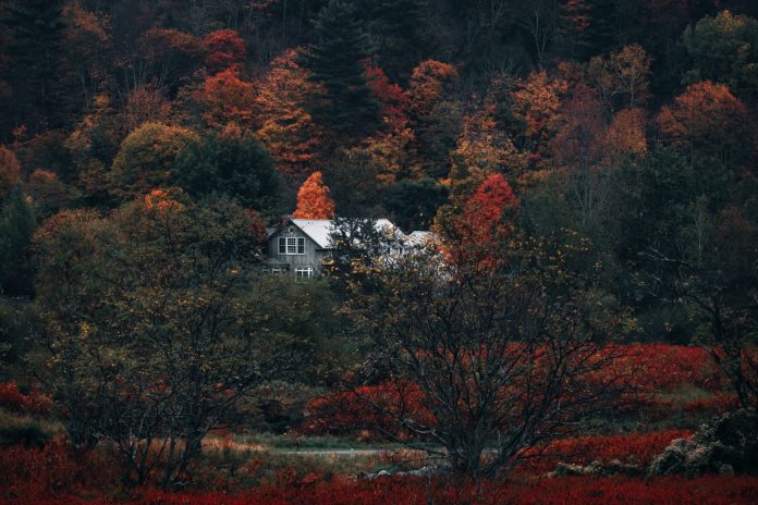 10 Vacation Rentals Where You Can Enjoy Fall Colors with Kids Around the US