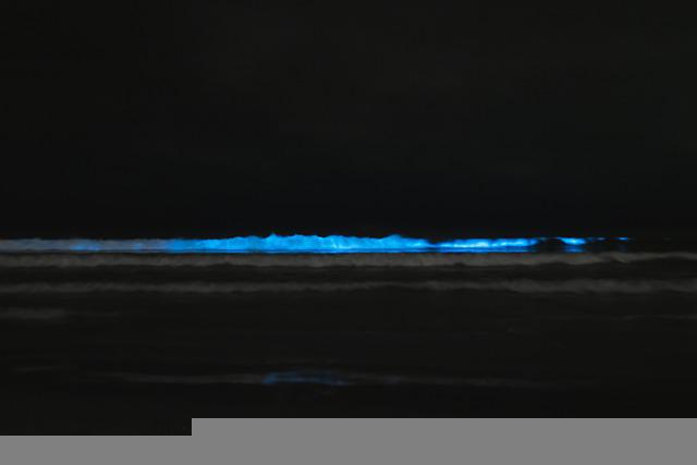 Bioluminescence Kayaking Tour